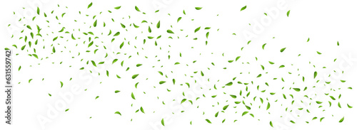 Olive Greens Wind Vector Panoramic White