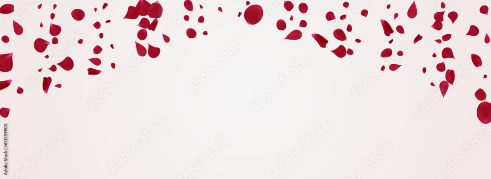 Red Rose Tender Vector Panoramic White