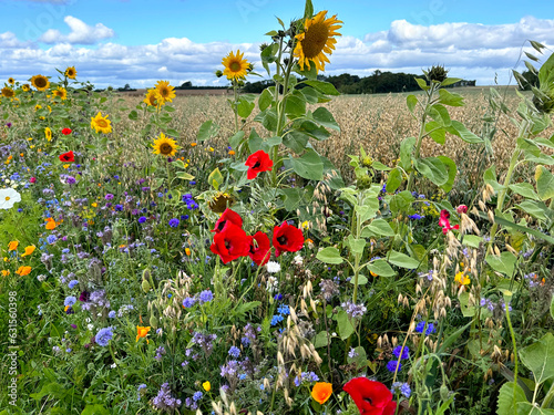 Canvastavla Wild flowers in a field outside Aalborg in North Jutland