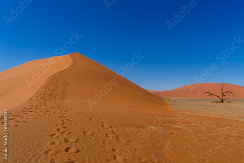 Footsteps leading the way up to Dune 45 at Sossusvlei Nationalpark