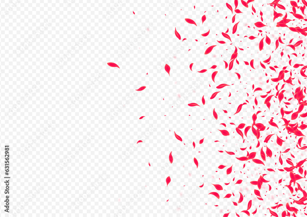 Delicate Flower Vector Transparent Background.