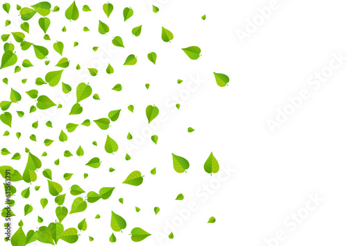 Mint Leaves Abstract Vector White Background
