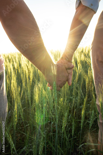man and woman holding hands in wheat field, sunbeams, Young couple holding hands in the wheat field on sunny summer day