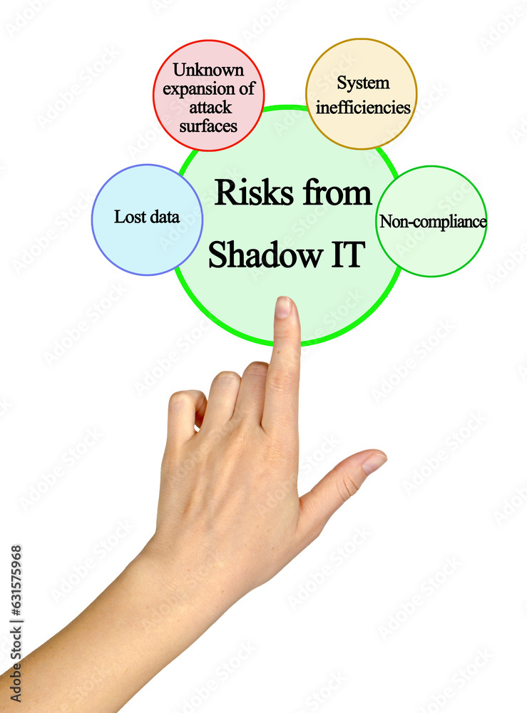 Four Risks from Shadow IT Four Risks from Shadow IT