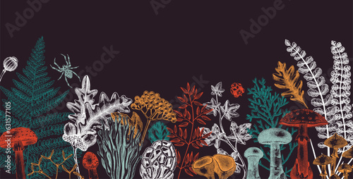 Vector border with ferns, mushrooms, fall leaves, berries and autumn plant sketches. Vintage botanical design template in engraved style. Hand drawn autumn forest background for print. Natural banner