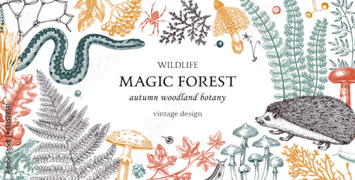 Vintage frame with woodland animals, ferns, mushrooms, fall leaves, berries and autumn plant sketches. Botanical design template in color. Hand drawn autumn forest background for print.