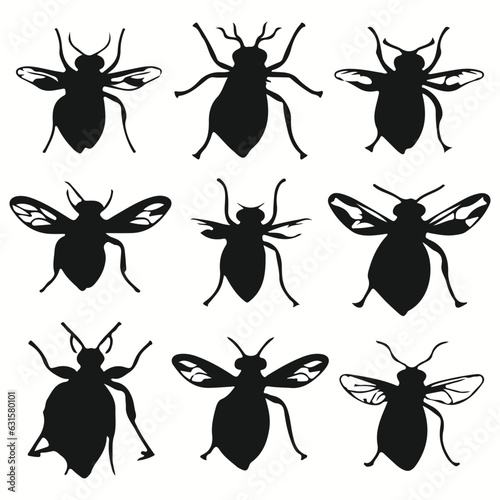 Wasp silhouettes and icons. black flat color simple elegant Wasp animal vector and illustration. © Charlie