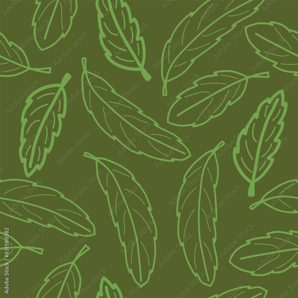 The Leaves of the Australian Flowering Tree, Abrophyllum ornans or the ...