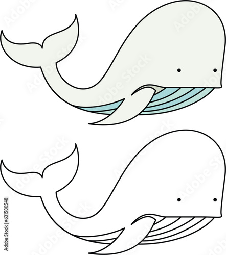 White whale simple style vector illustration , Belugas whale colored and black and white line drawing for coloring books stock vector image and square shaped stock vector image