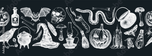 Halloween vector border. Skull, bones, pumpkin, poisonous mushrooms, snakes, raven sketches. Hand drawn witchcraft background. Seamless pattern for magic design, decoration, print