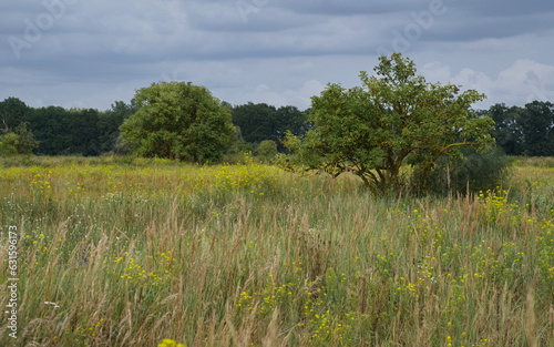 Ehemaliges Rieselfeld bei Schenkenhorst – als Standort für eine neue ICE-Werkstatt im Gespräch