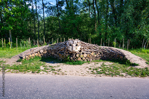Wooden owl made by chopped off trees in the forest
