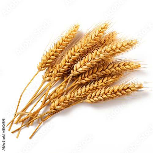 wheat ears isolated on a transparent background made with AI generative technology