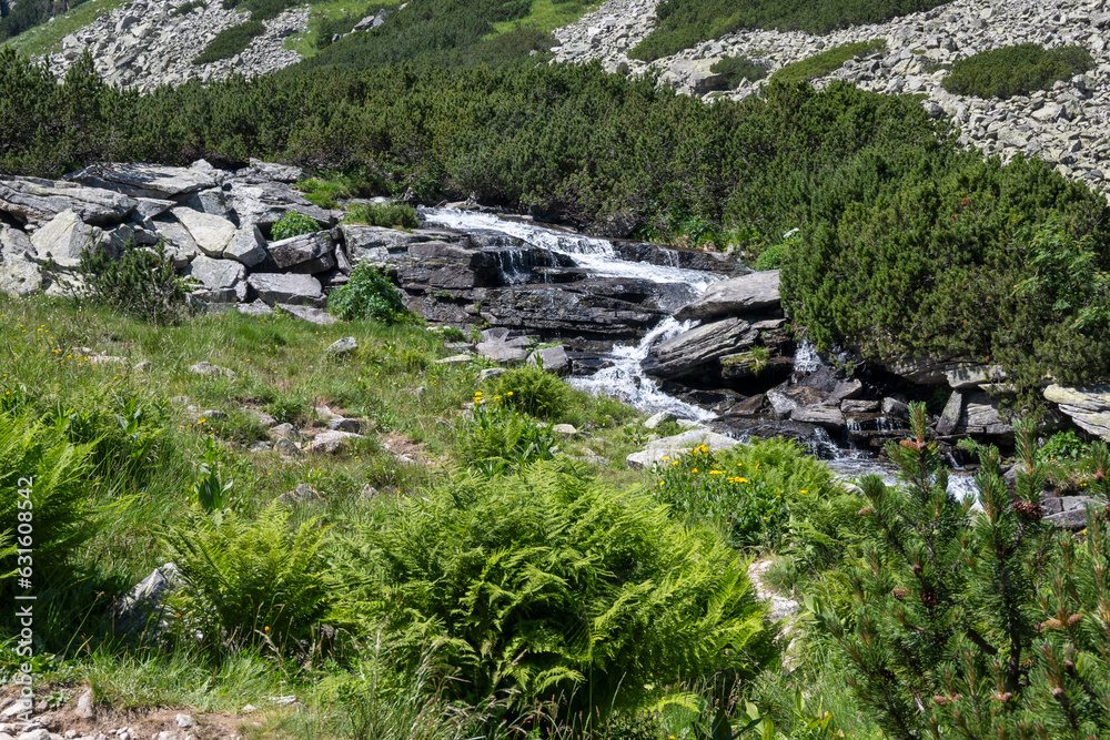 Landscape of Rila Mountain near Malyovitsa hut, Bulgaria Landscape of Rila Mountain near Malyovitsa hut, Bulgaria