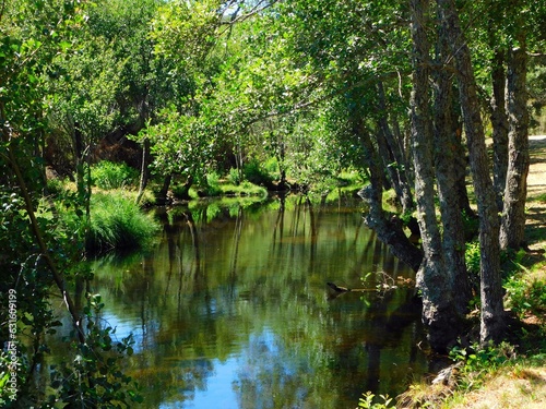 Fototapeta Naklejka Na Ścianę i Meble -  Fontirín river in the Carballeda region in Zamora province