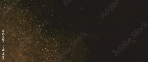 Beautiful Gold Floating Dust Particles On Black Background, Shot in slow-motion