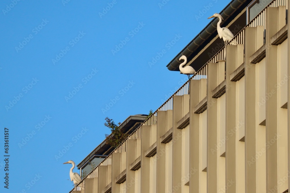 Figures of various plastic birds - herons and flamingo - on a terrace of a modern building