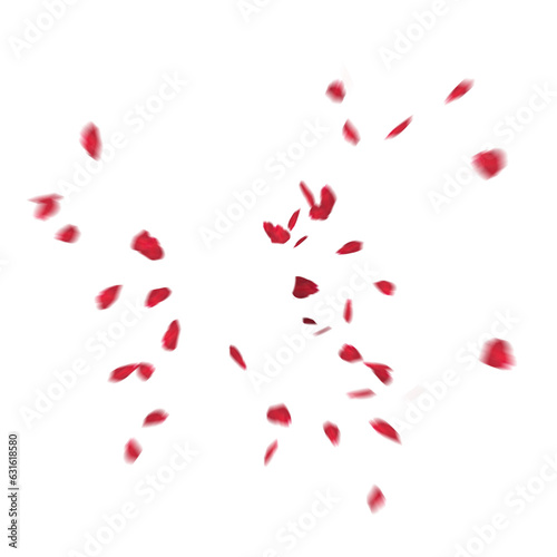 Fototapeta Naklejka Na Ścianę i Meble -  Floating red rose petal isolated on white. Background concept for love greetings on valentines day and mothers day. Space for text. rose for love Beautiful floral overlay with flying pink petals at tr