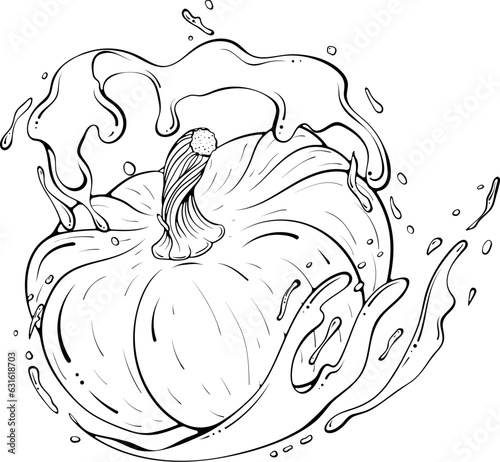 Whole pumpkin with juice or water splash. Liquid drops. Vector illustration in hand drawn sketch doodle style. Line art ingredient for fresh juice isolated on white. Close up organic vegetable