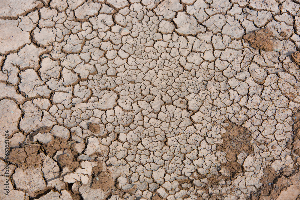 Photo of Cracked Earth during a drought Photo of Cracked Earth during a drought