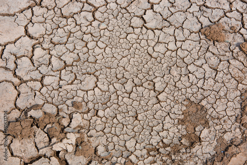 Photo of Cracked Earth during a drought