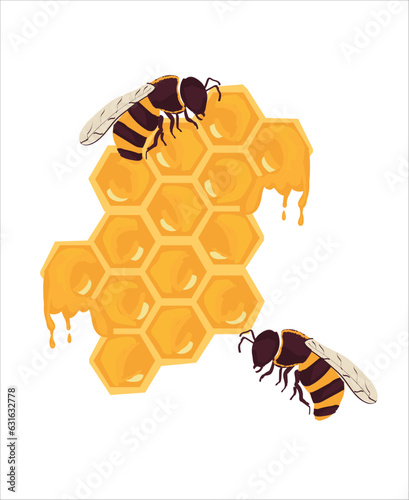Honeycomb and Honeybee vector illustration
