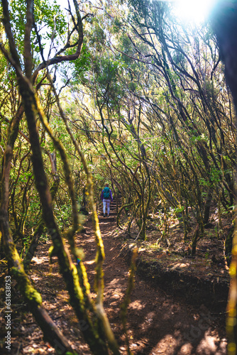 Athletic female tourist walking along stairy footpath through a green forest on a sunny day. 25 Fontes Waterfalls, Madeira Island, Portugal, Europe. photo