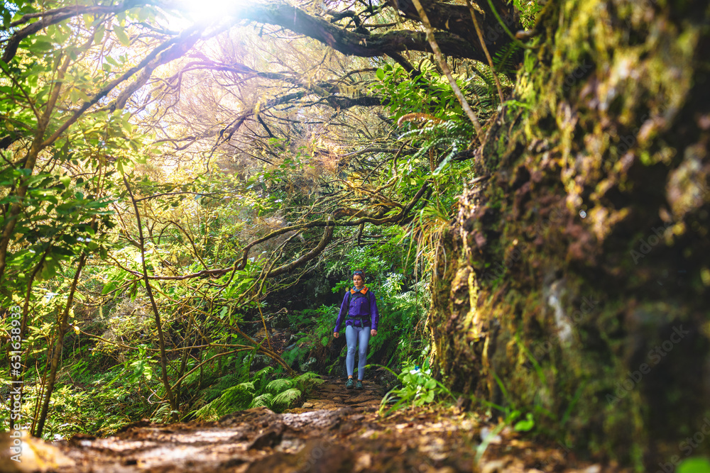 Fototapeta premium Female tourist with backpack hiks on a beautiful overgrown path through a green forest on a sunny day. 25 Fontes waterfalls, Madeira Island, Portugal, Europe.