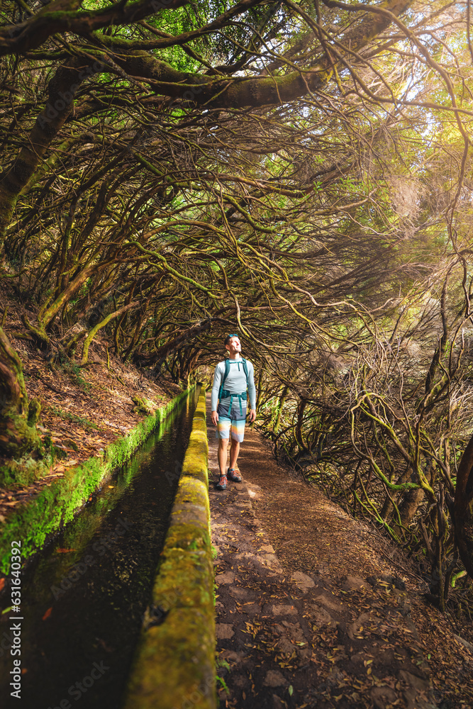 Male tourist walking along a mystic water canal path overgrown with wooden branches on a sunny day. 25 Fontes Waterfalls, Madeira Island, Portugal, Europe.