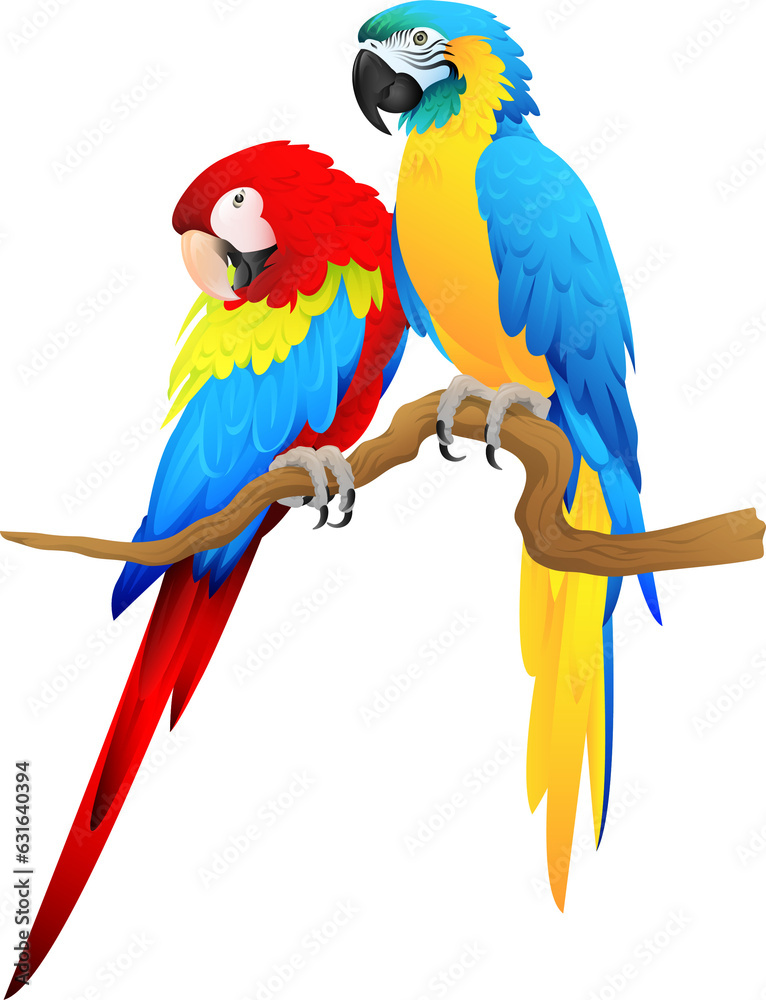 Fototapeta premium Amazon Parrot Pair On Branch