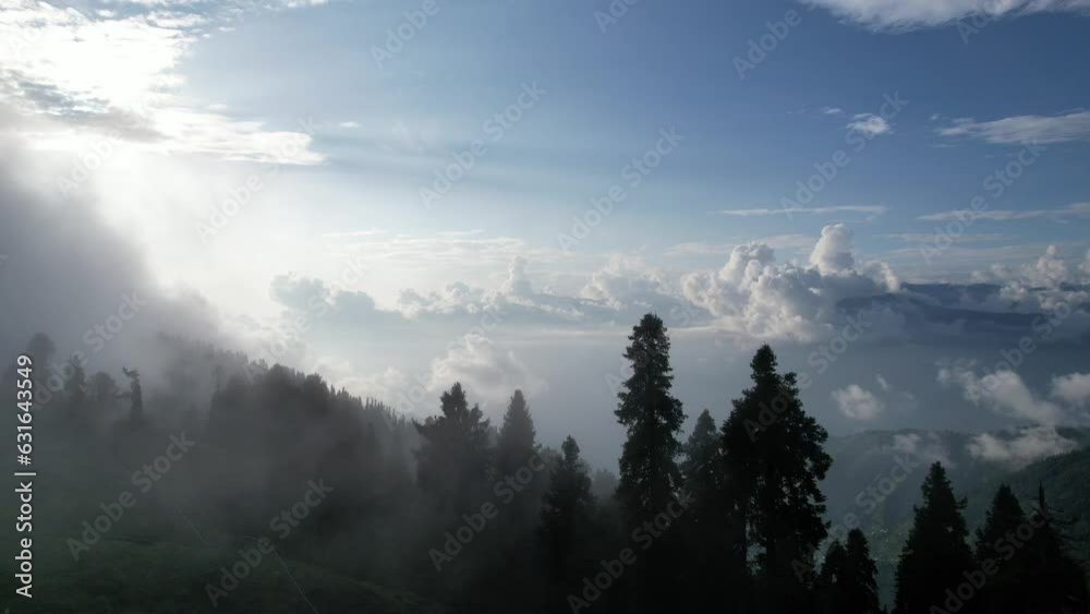 Drone Shot of Forest with Fog and Clouds in the Mountains in 4k Drone Shot of Forest with Fog and Clouds in the Mountains in 4k