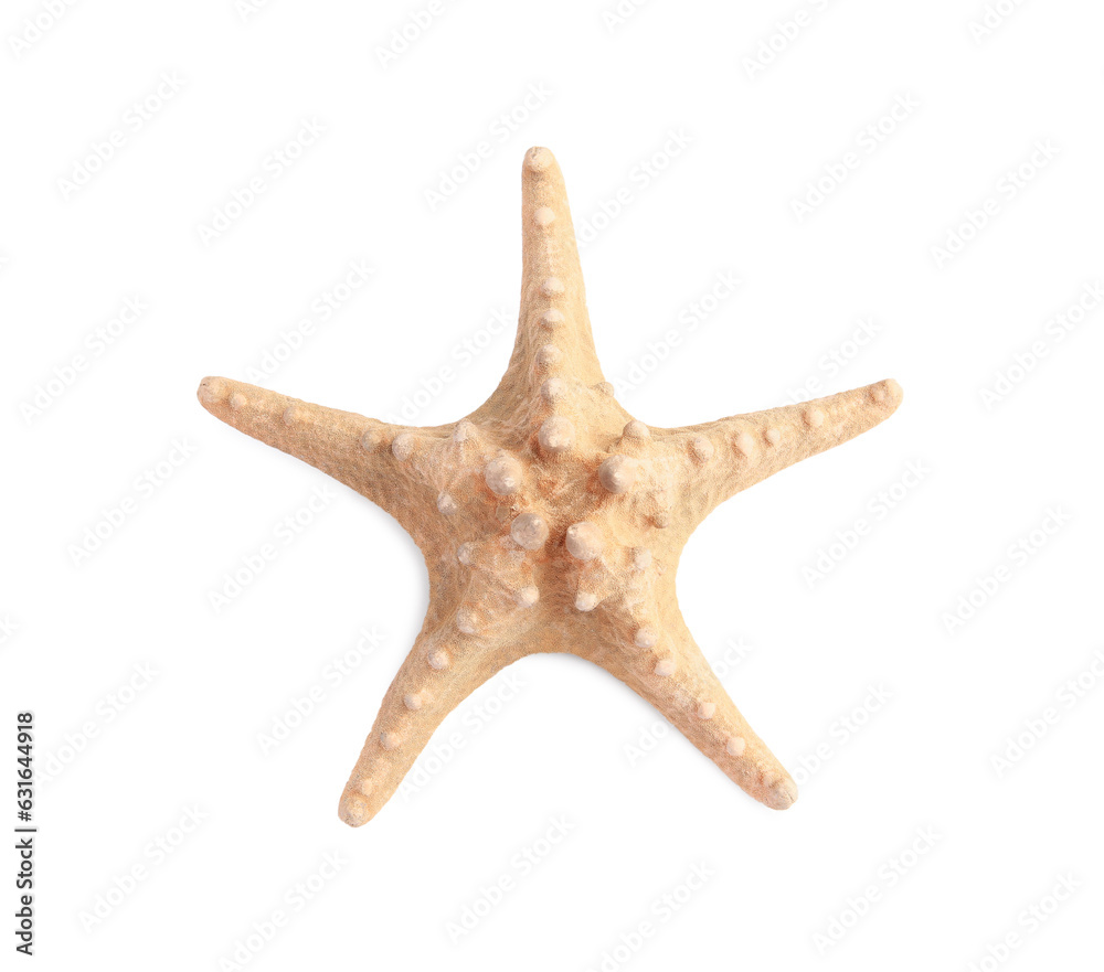 Beautiful sea star (starfish) isolated on white, top view Beautiful sea star (starfish) isolated on white, top view