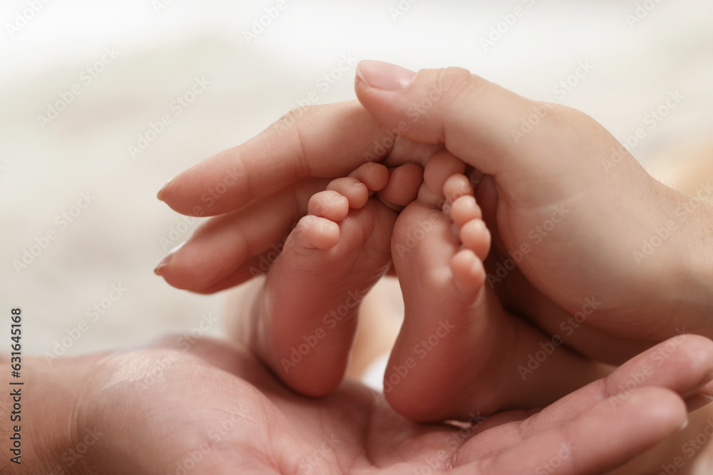 Mother and father holding their newborn baby, closeup view on feet. Lovely family Mother and father holding their newborn baby, closeup view on feet. Lovely family