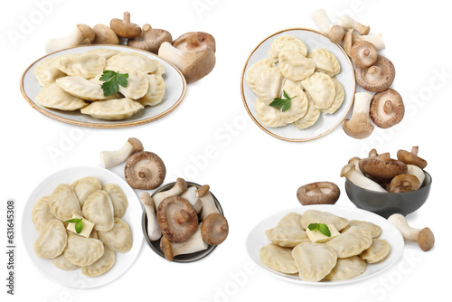 Set of tasty dumplings (varenyky) and mushrooms on white background, top and side views