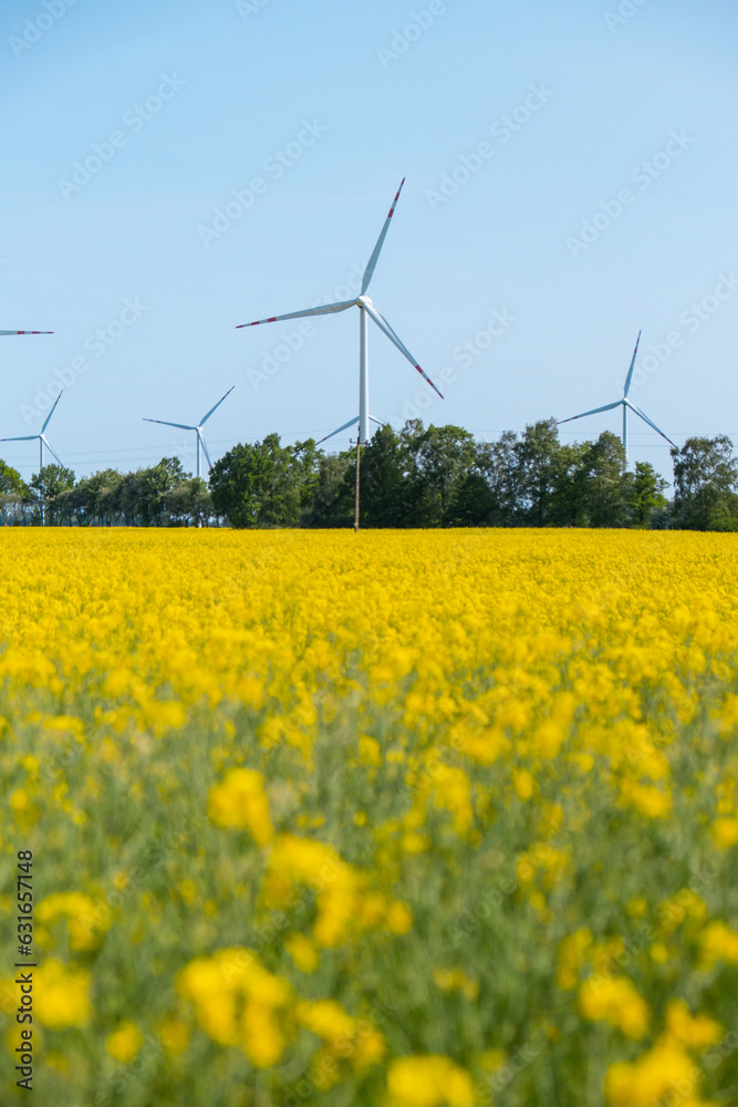 Wind turbine on grassy yellow field against cloudy blue sky in rural area during sunset. Offshore windmill park with stormy clouds in farmland Poland Europe. Wind power plant generating electricity Wind turbine on grassy yellow field against cloudy blue sky in rural area during sunset. Offshore windmill park with stormy clouds in farmland Poland Europe. Wind power plant generating electricity