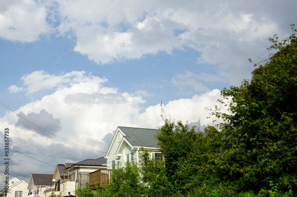 Obraz premium 自然の恵み、緑の恵み美しい花々樹木雑草や枯草