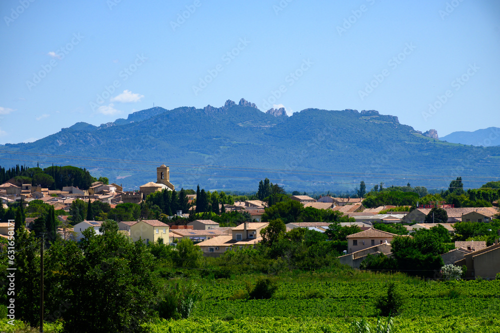 Vineyards of Chateauneuf du Pape appellation with grapes growing on soils with large rounded stones galets roules, view on Ventoux mountain, famous red wines, France
