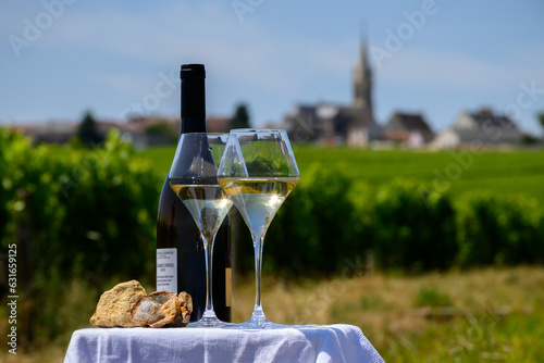 Glasses of white wine from vineyards of Pouilly-Fume appelation and example of flint pebbles soil, near Pouilly-sur-Loire, Burgundy, France photo