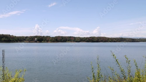 Wallpaper Mural 夏雲が浮かぶ穏かな湖の風景。多摩湖で撮影。 Torontodigital.ca