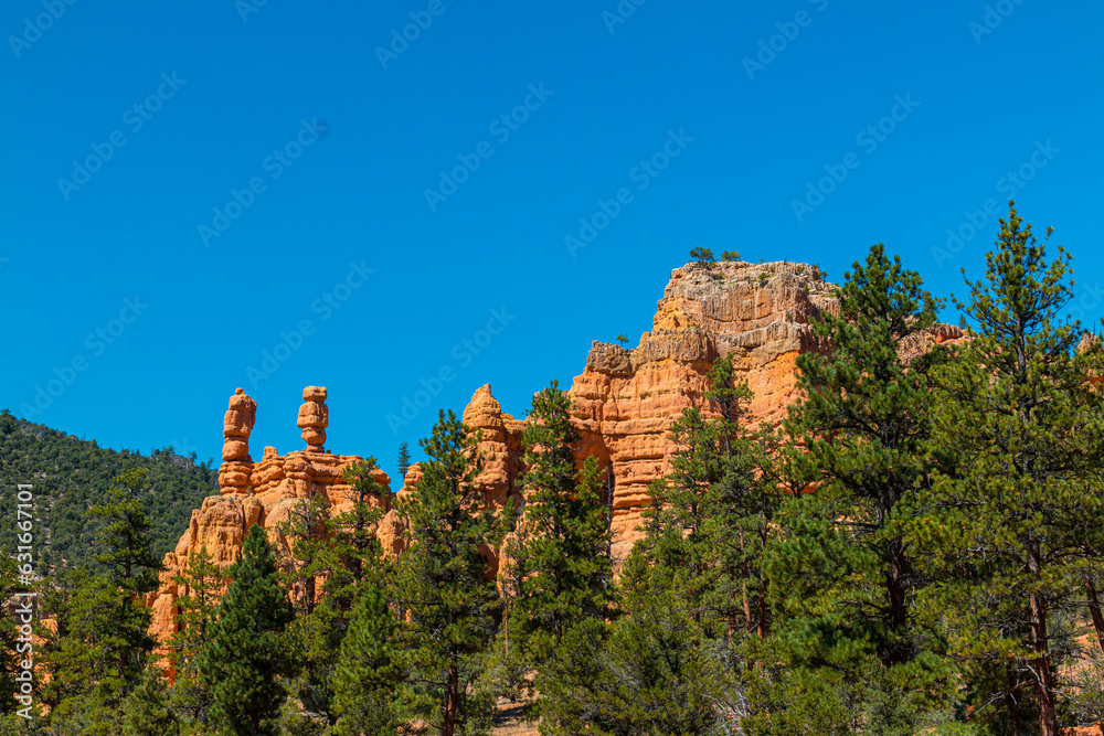 Red Rock Cliffs Above The Pine Forest, Dixie National Forest, Utah, USA