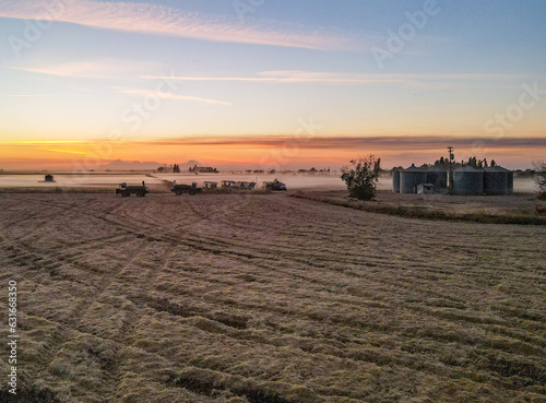Rice Harvest in Sacramento Valley, California 
