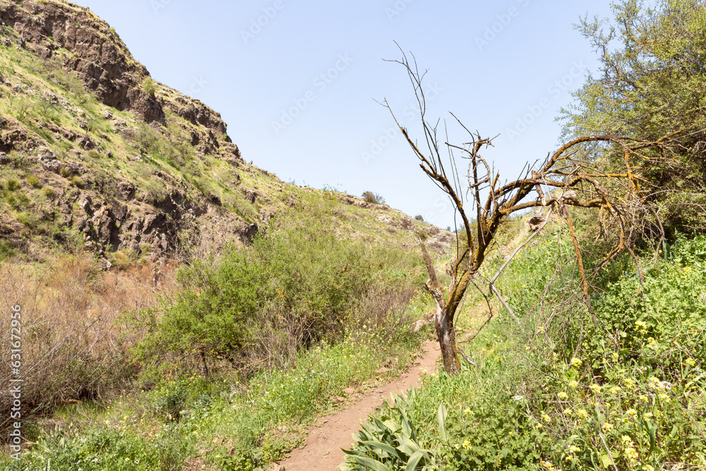 The hiking trail passes near the river Tabor, in the Galilee, near the Afula city, in northern Israel. The hiking trail passes near the river Tabor, in the Galilee, near the Afula city, in northern Israel.