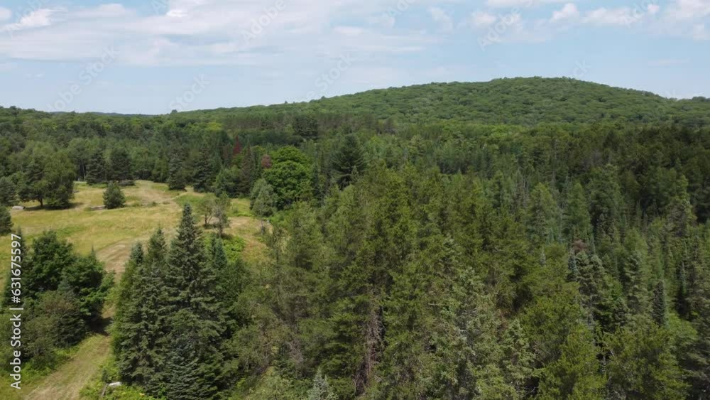 Wolf Tracks at Bondi Resort (Muskoka, Lakes, Forests) Wolf Tracks at Bondi Resort (Muskoka, Lakes, Forests)