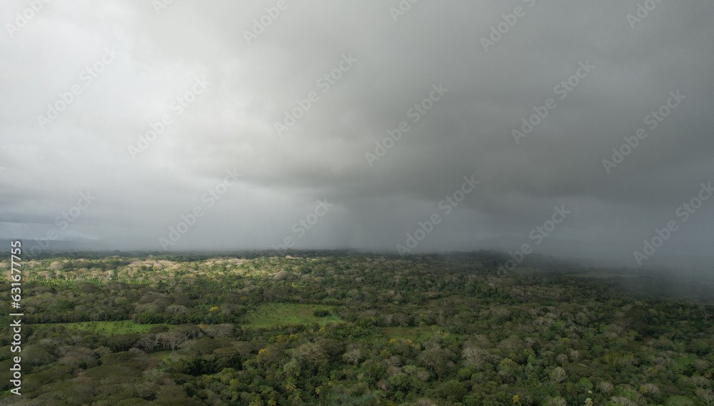 Rain storm over tropical landscape