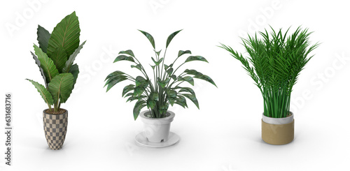 flower pot with plants for home decoration isolated on transparent background