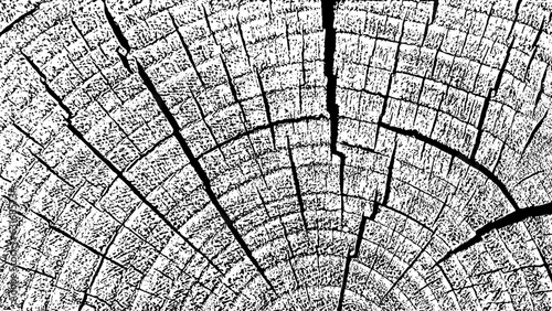 Distressed wood overlay textured. Cross section tree rings cut slice. Black grainy texture on white background. Wide horizontal long banner. Grunge design elements. Vector illustration, EPS 10.