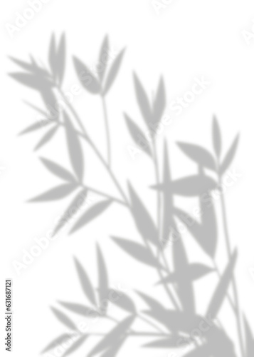 Fototapeta Naklejka Na Ścianę i Meble -   leaves silhouette, Shadows of bamboo isolated