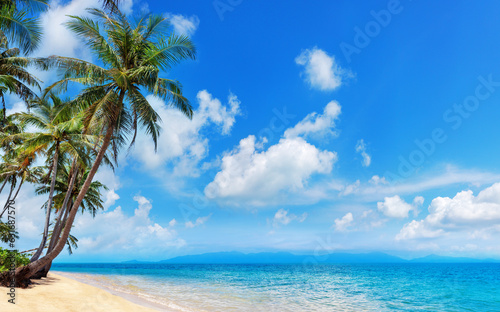 Tropical island paradise sea beach, beautiful nature landscape, coconut palm tree leaves, turquoise ocean water, sun blue sky white cloud, sand, Caribbean, Maldives, Thailand summer holidays, vacation