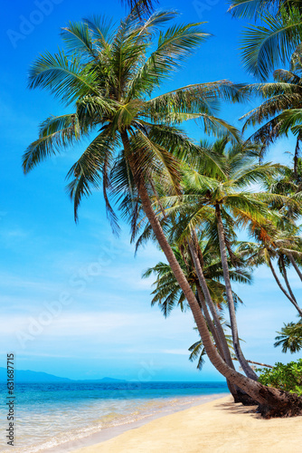 Fototapeta Naklejka Na Ścianę i Meble -  Tropical island paradise sea beach, beautiful nature landscape, coconut palm tree leaves, turquoise ocean water, sun blue sky white cloud, sand, Caribbean, Maldives, Thailand summer holidays, vacation