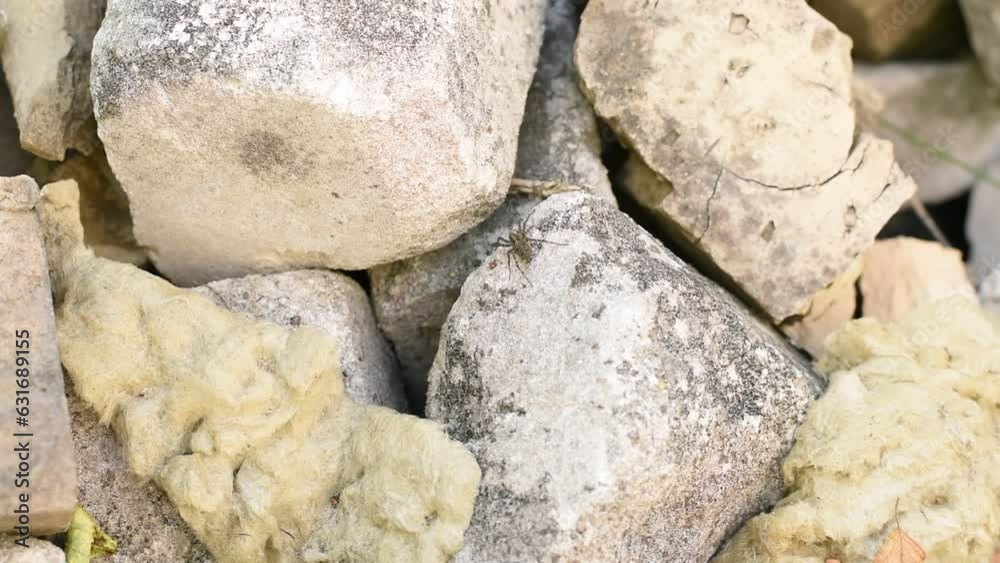 The gray spider basks under the rays of the sun on the stones and waits for the victim. The gray spider basks under the rays of the sun on the stones and waits for the victim.